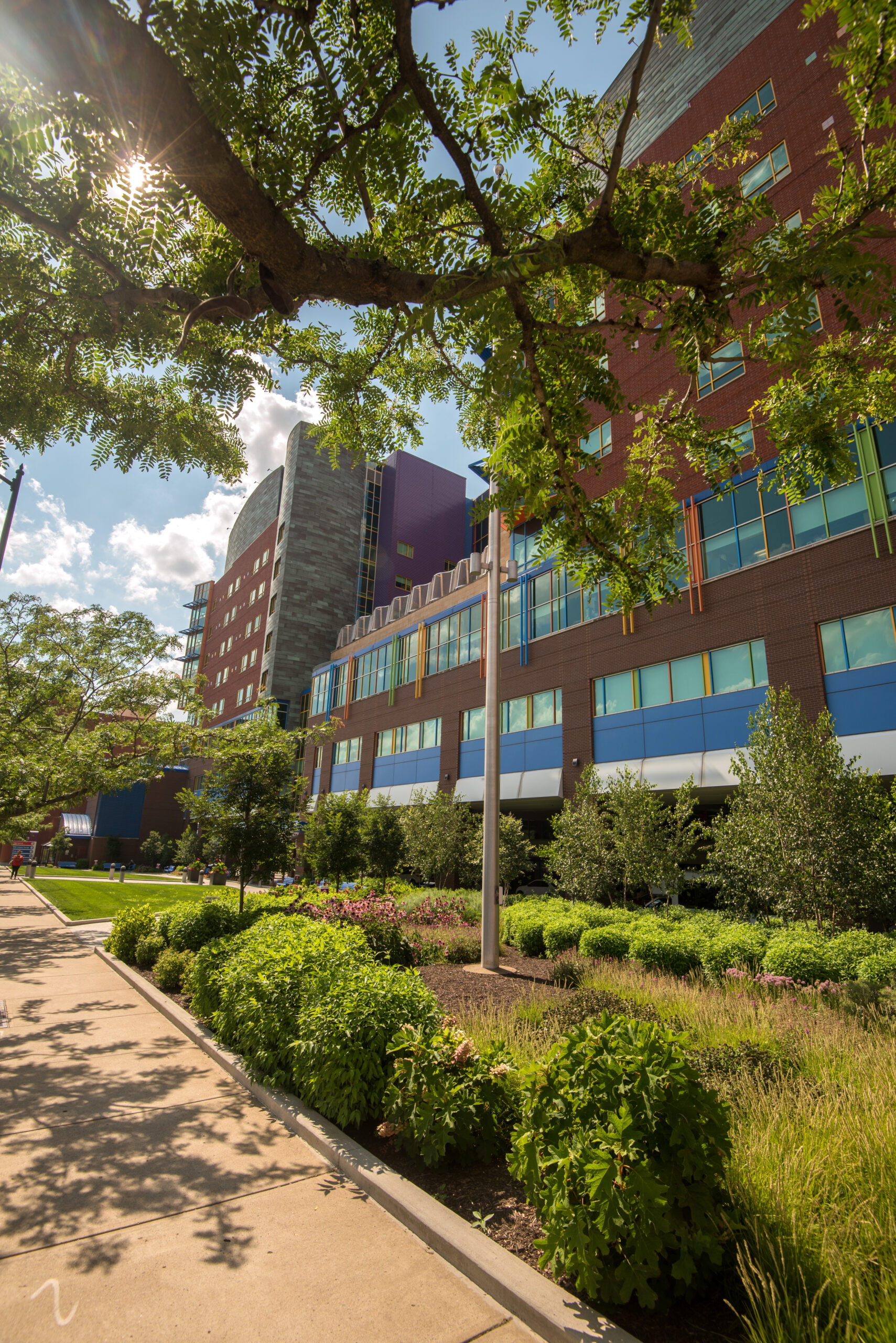 A modern building with a mix of brick and colorful panels, surrounded by trees and shrubs. The scene is bright with blue skies and fluffy clouds visible above.