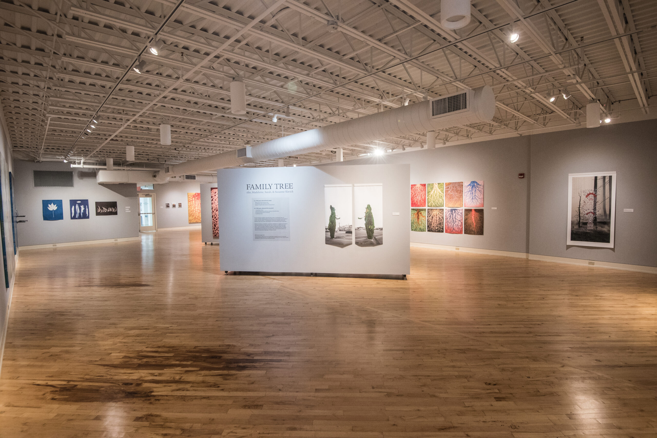 Erie Art Museum Interior Gallery